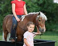 youth-pony