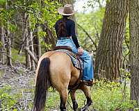 flashy-quarter-horse