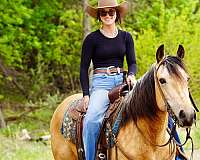 ranch-quarter-horse