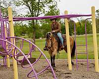 roping-quarter-horse