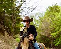 trail-riding-quarter-horse