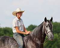 hunting-tennessee-walking-horse