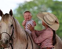 tricks-missouri-fox-trotter-horse