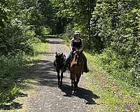 barrel-racing-quarter-horse