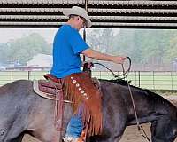 penning-quarter-horse