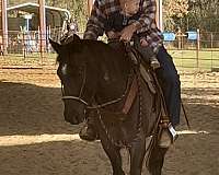ranch-versatility-quarter-horse