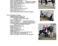 congress-shetland-pony
