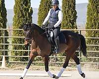aa-friendly-mare