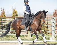 jr-friendly-mare