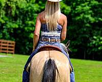 endurance-quarter-horse