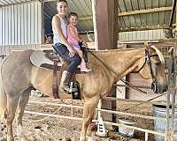 palomino-ranch-horse