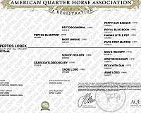 cutting-quarter-horse