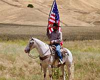 ranch-work-appaloosa-horse