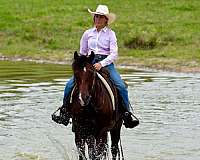 playday-quarter-horse