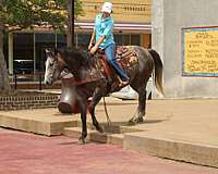 ridden-western-quarter-horse