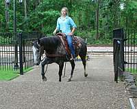 roping-quarter-horse