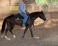sorrel-quarter-horse-gelding