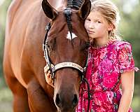 beginner-quarter-horse