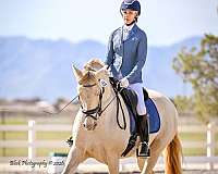 loxahatchee-andalusian-horse