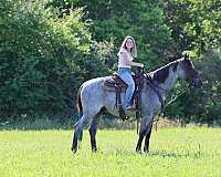 blue-roan-show-winner-pony