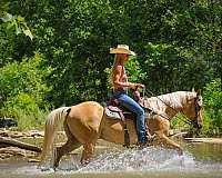 barrel-racing-quarter-horse
