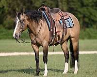 barrel-racing-quarter-horse