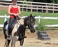 morgan-mare