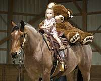 ridden-western-draft-horse