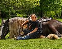 athletic-gypsy-vanner-horse