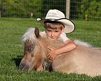kid-safe-pony