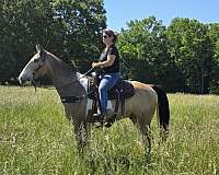 tobiano-see-pictures-horse