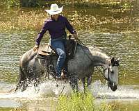 trail-riding-quarter-horse