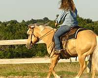 ranch-versatility-paint-horse