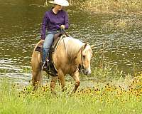 trail-paint-horse