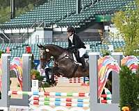 area-knabstrupper-horse