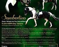 pattern-oldenburg-horse
