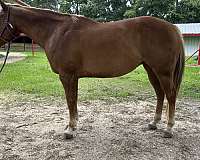 3d-mare