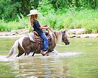 athletic-miniature-pony