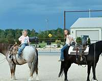 jumper-quarter-pony