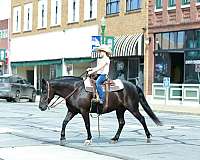 lesson-quarter-pony