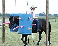 show-jumping-quarter-pony