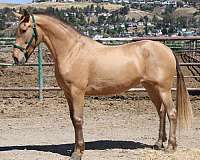 isabela-mare