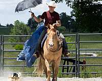 trail-riding-quarter-horse