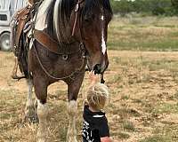 cross-draft-horse