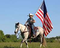 flashy-quarter-horse