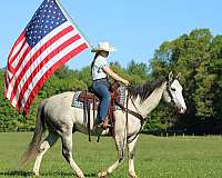 trail-riding-quarter-horse