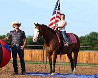 husband-safe-quarter-horse