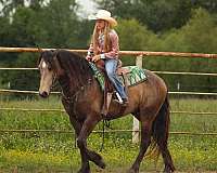 cross-draft-horse