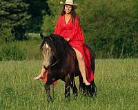 kid-safe-draft-horse