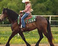 ranch-versatility-draft-horse